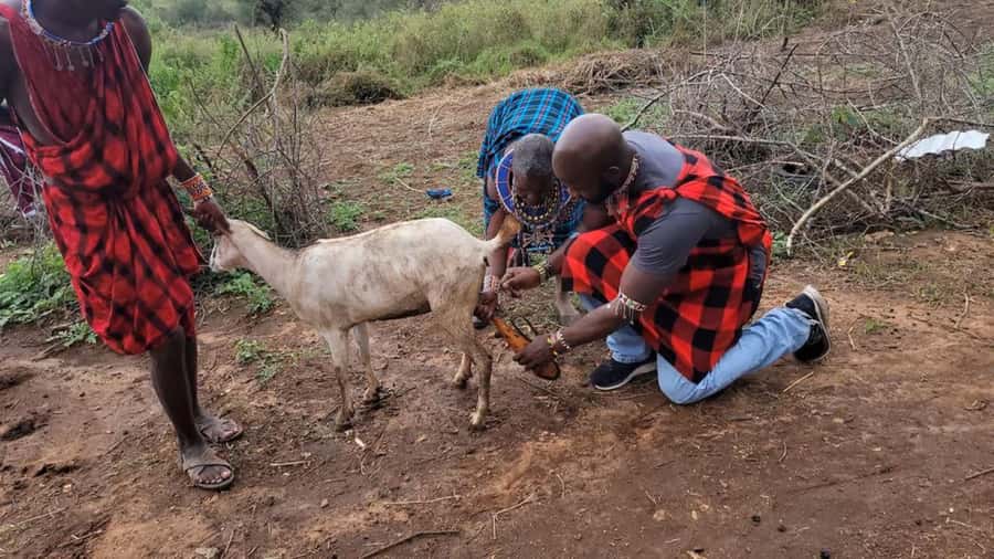 Masai Village Cultural Day Tour from Nairobi - Song, dance, and traditional dress