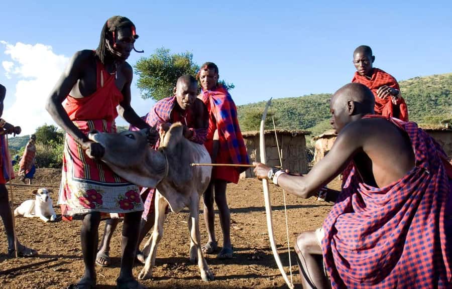 Masai Village Cultural Day Tour from Nairobi - Is the $42 price good value?