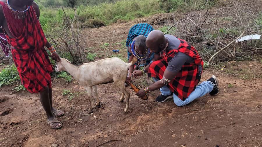 Masai Village Experience (Day trip) - Key points to know before you book