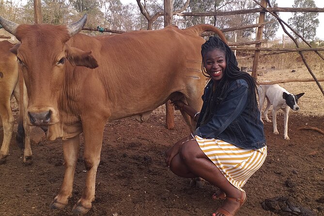 Masai village visit from Nairobi day tour - Who will enjoy this day most