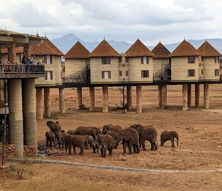 Mombasa: 2-Day Safari to Taita Hills Game Sanctuary - Leaving Mombasa for Taita Hills