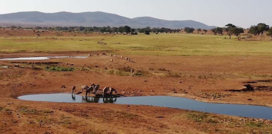 Mombasa: 2-Day Safari to Taita Hills Game Sanctuary - The return to Mombasa