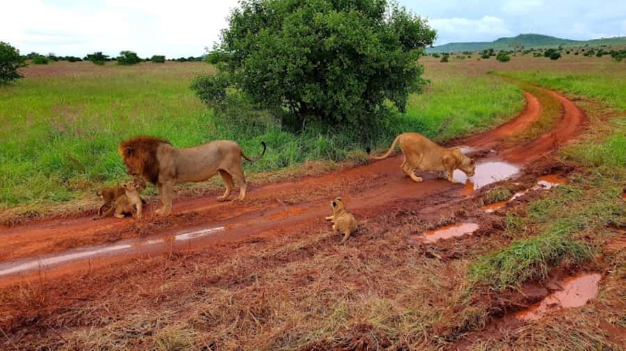 Mombasa: 2-Day Safari to Taita Hills Game Sanctuary - Small rules that protect the setting