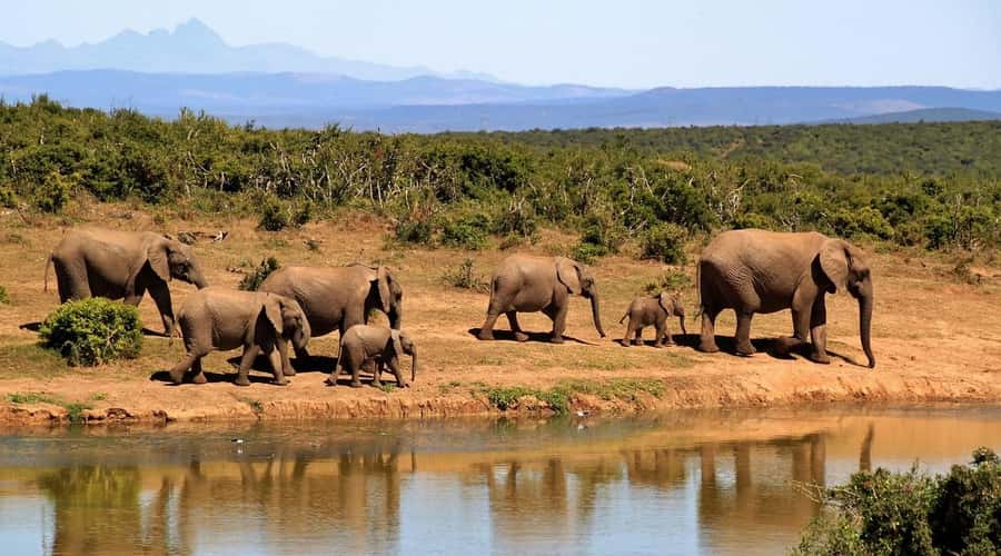 Mombasa: 3-Days 2-Nights Tsavo East and West Private Safari. - Why this short safari works from Mombasa