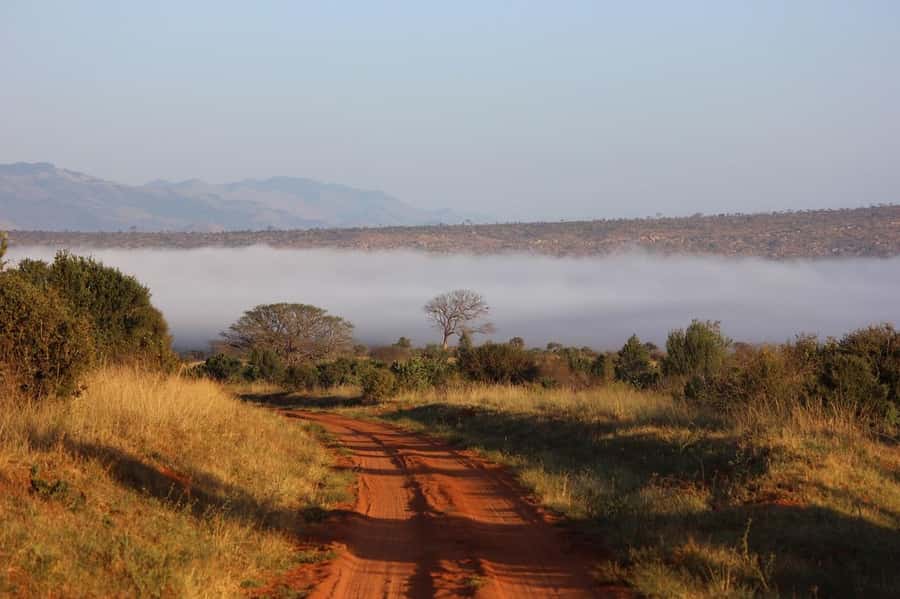 Mombasa: 3-Days 2-Nights Tsavo East and West Private Safari. - Day 2: Tsavo West to Tsavo East