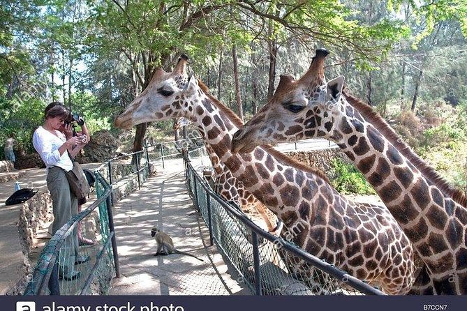 Mombasa city tour, Fort Jesus and Haller Park - What the $90 price includes