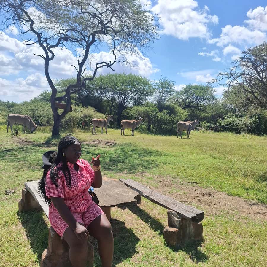 MOMBASA:FortJesus,OldCity,GiraffeOstrich,Oryx,Eland,WildTour - Why this Mombasa combination works