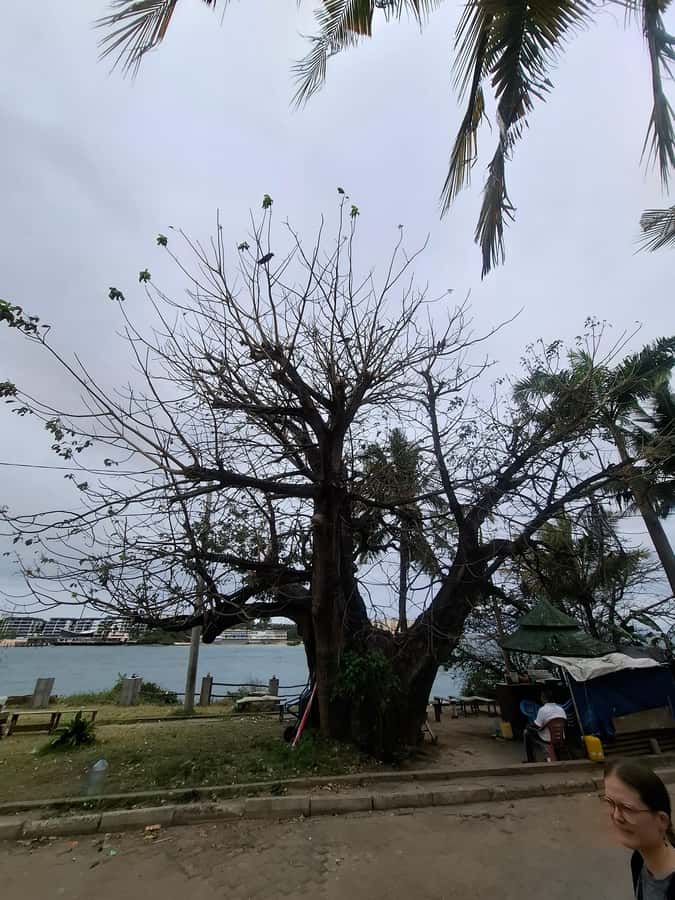 MOMBASA:FortJesus,OldTown,SpiceMarket, Shiva Temple DayTour. - Walking Conditions, Dress, and What to Carry