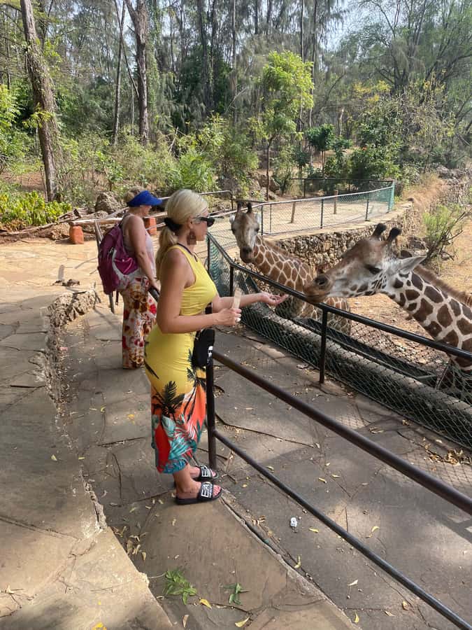 Mombasa Full Day City tour & Haller Park - Why this is a useful one-day introduction to Mombasa