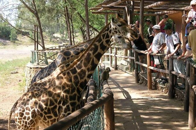 Mombasa Getaway with Haller Park Tours - What the $120 price really covers