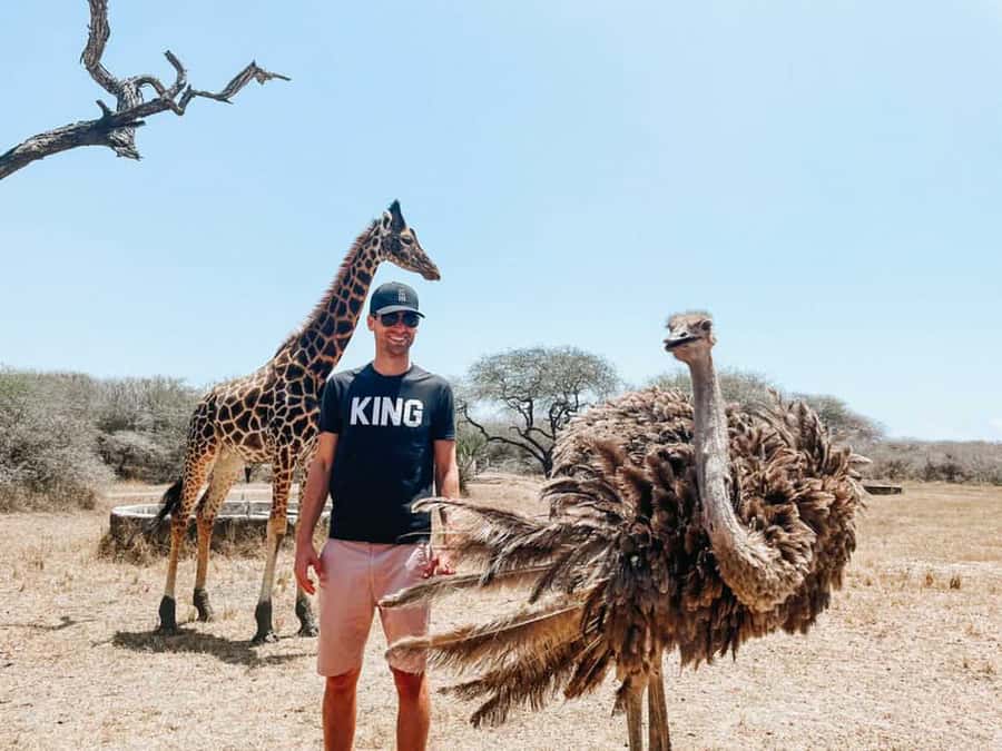 Mombasa: Guided Nature Walk Amongst Giraffes - The 30-minute walk among giraffes