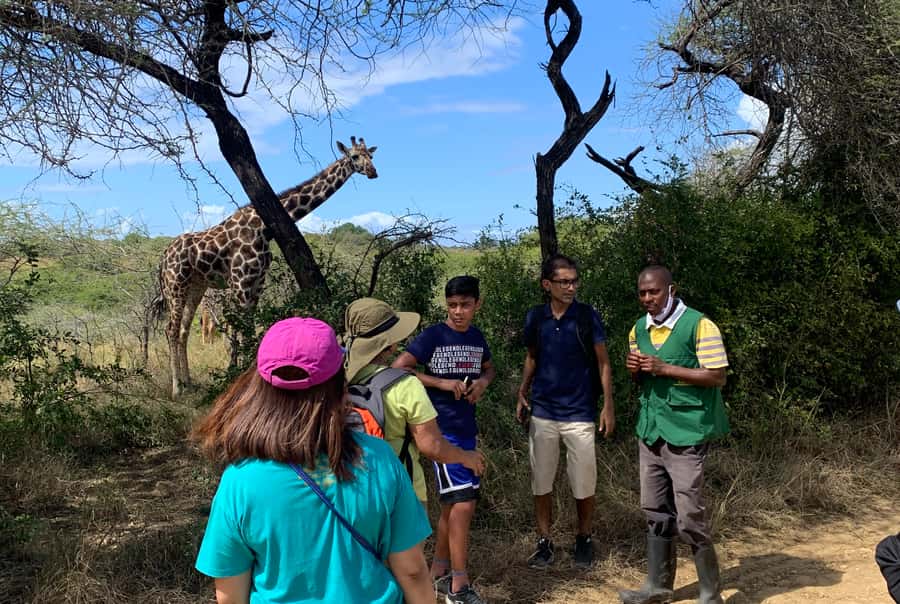 Mombasa: Guided Nature Walk Amongst Giraffes - Giraffe feeding: read the details carefully
