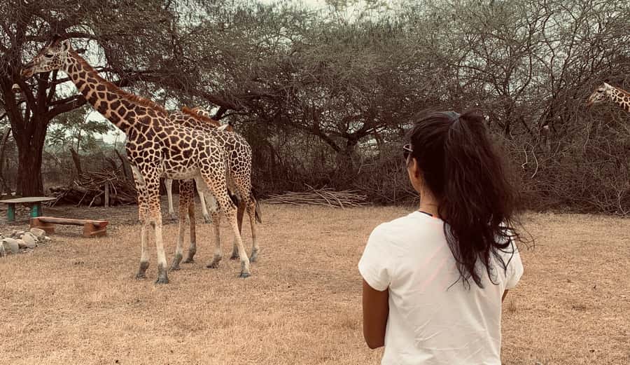 Mombasa: Guided Nature Walk Amongst Giraffes - The conservation message behind the visit