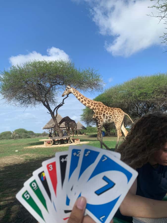 Mombasa: Guided Nature Walk Amongst Giraffes - Who will enjoy this most