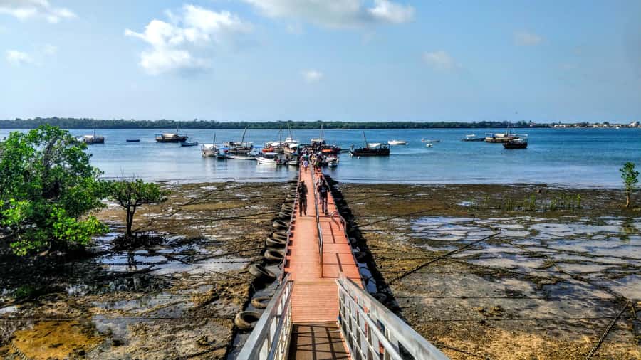 Mombasa: Kisite Park Private Cruise with Breakfast and Lunch - The long road from Mombasa to the southern coast