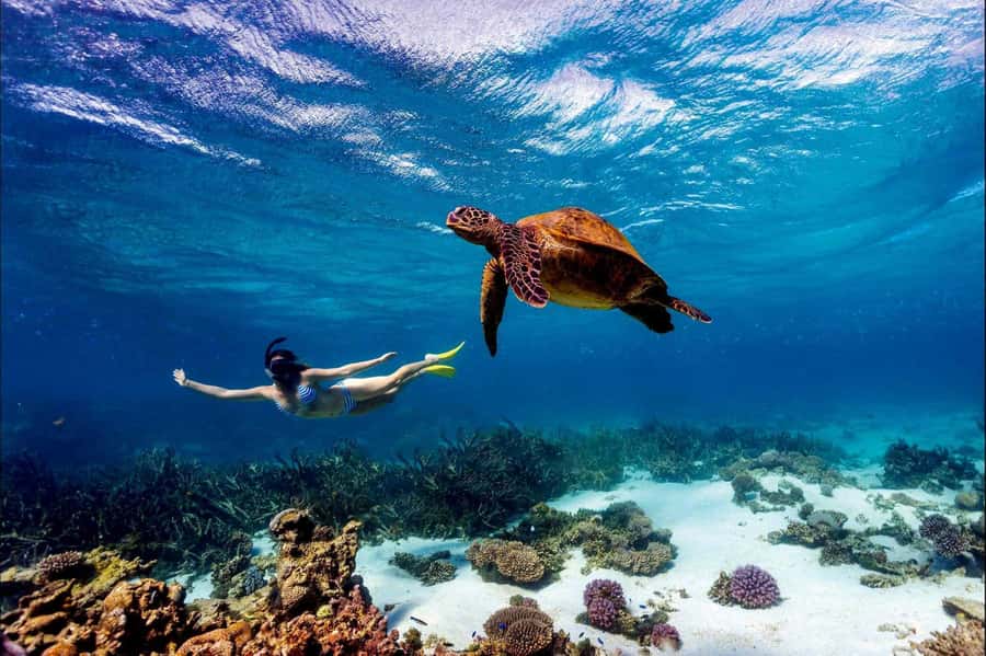 Mombasa: Kisite Park Private Cruise with Breakfast and Lunch - Kisite-Mpunguti Marine National Park from the water
