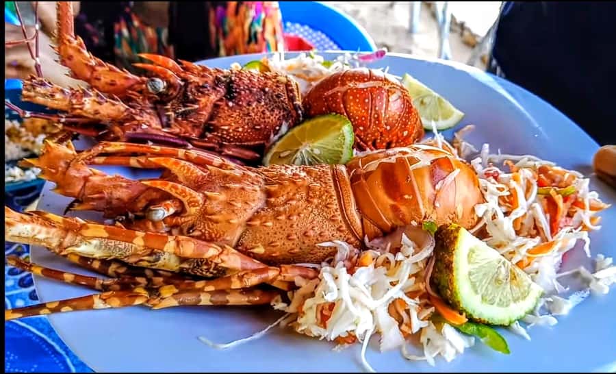 Mombasa: Kisite Park Private Cruise with Breakfast and Lunch - Sandbank time and the open Indian Ocean