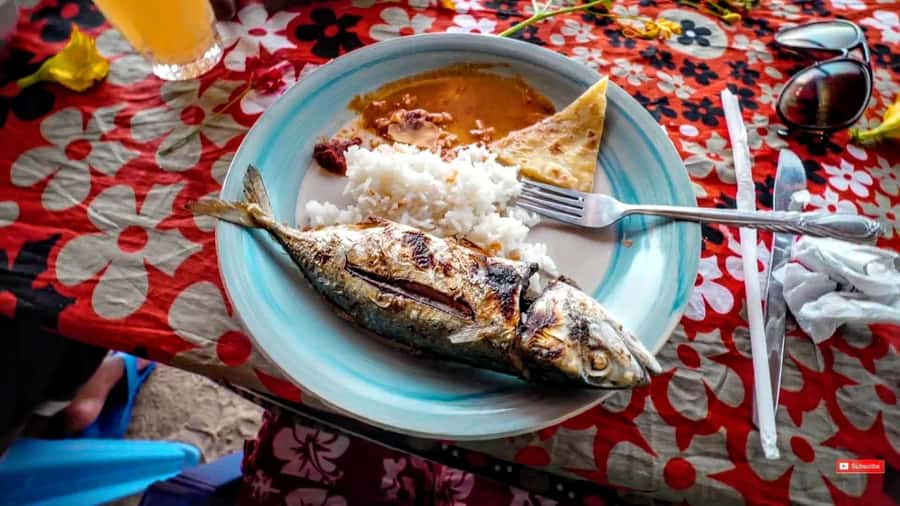 Mombasa: Kisite Park Private Cruise with Breakfast and Lunch - Timing, comfort, and what to pack
