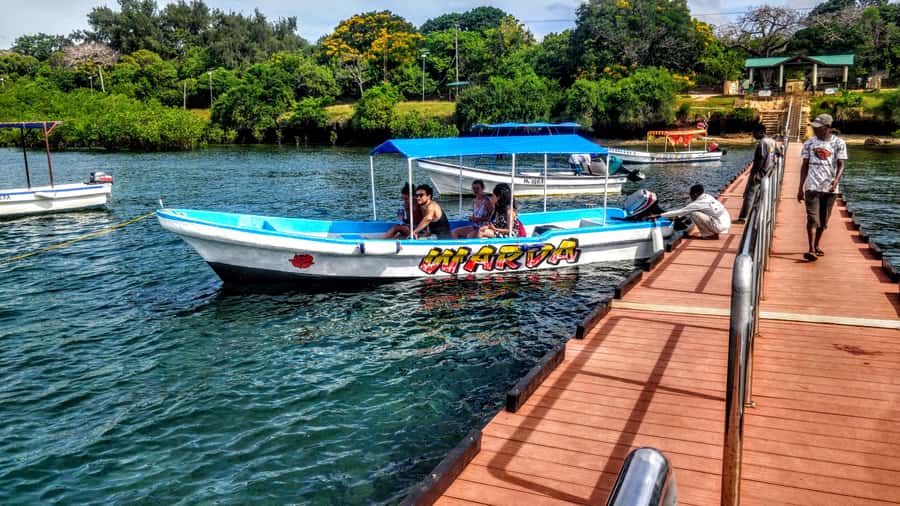 Mombasa: Kisite Park Private Cruise with Breakfast and Lunch - Breakfast on board and the search for dolphins