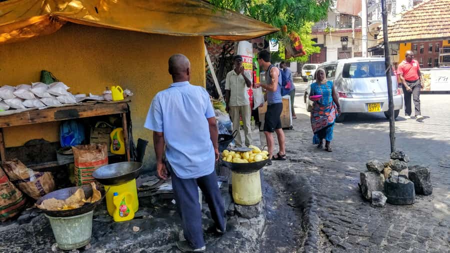 Mombasa: Private City Tour with Fort Jesus & Haller Park - Haller Park and the afternoon feeding schedule
