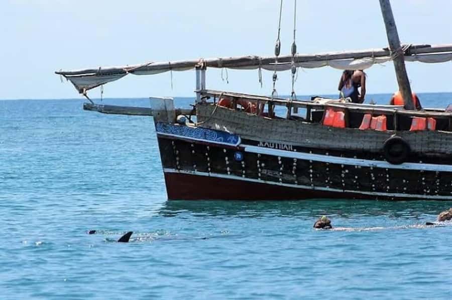 Mombasa: Snorkeling, Dolphin watching, seafood lunch. - Searching for dolphins from the dhow