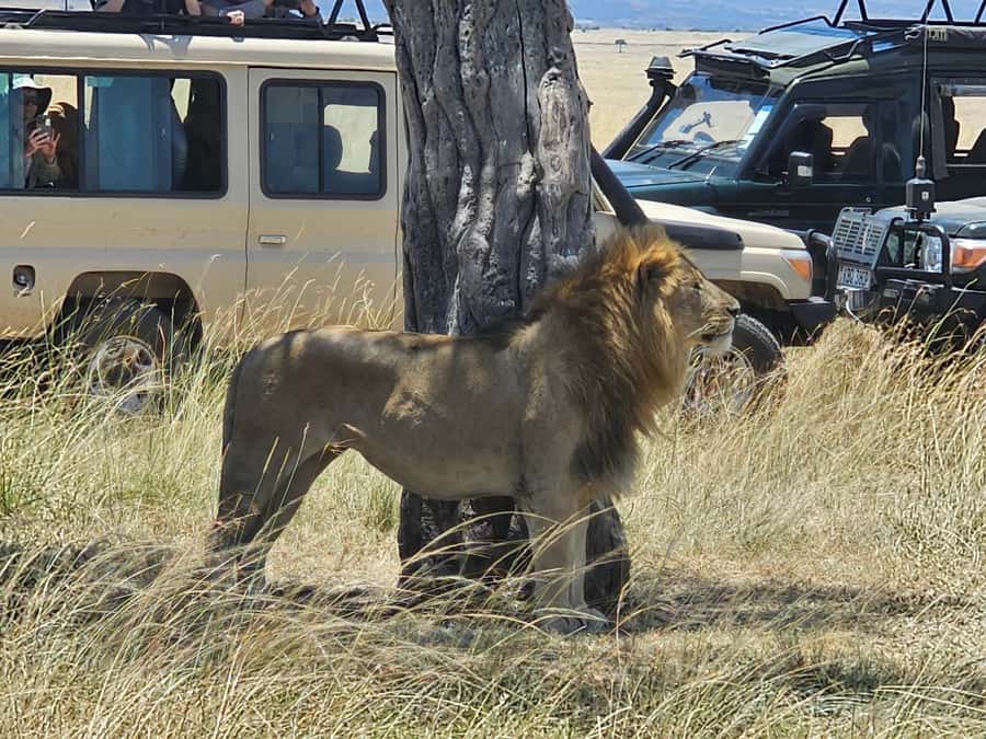 Mombasa: Tsavo East National Park Day Trip with Lunch - The Yatta Plateau and Tsavo’s volcanic side