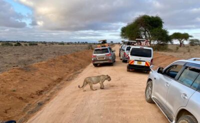 Tsavo East Ngutuni Sanctuary Overnight Safari