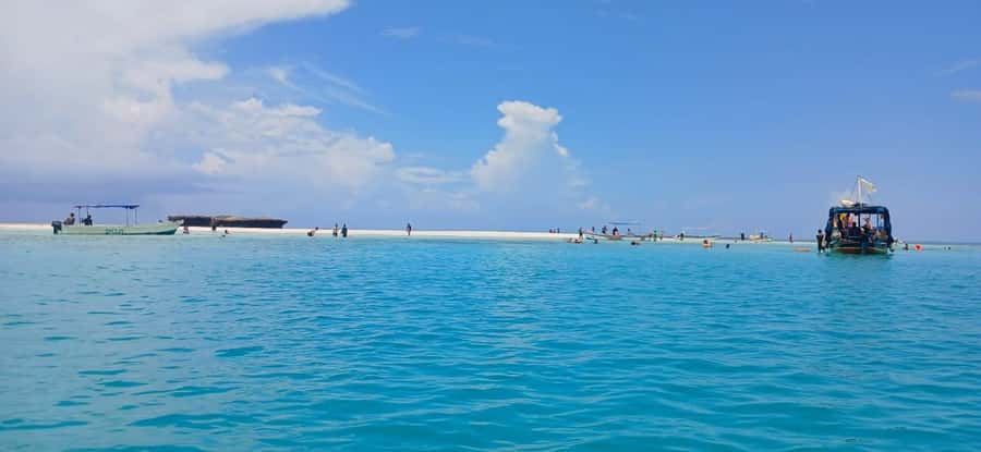 Mombasa: Wasini Dolphin Tour - Key points to know before booking