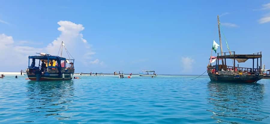 Mombasa: Wasini Dolphin Tour - A full coastal day from Mombasa or Diani
