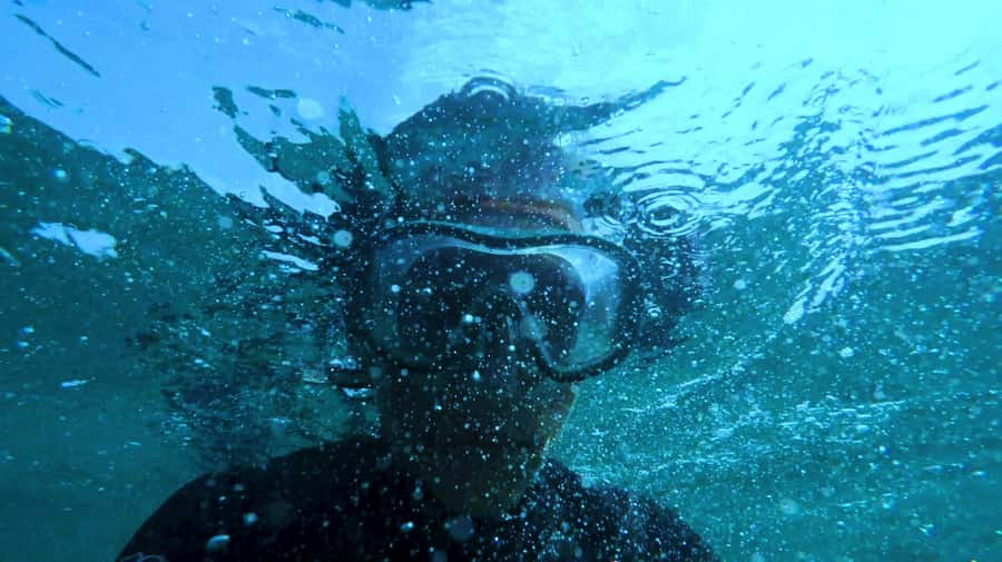 Mombasa: Wasini Dolphin Tour - Snorkeling at Kisite-Mpunguti Marine Park