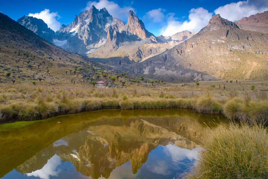 Mt Kenya: Full-day hiking tour from Nairobi - Key points to know before booking