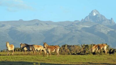 Mt Kenya: Full-day hiking tour from Nairobi