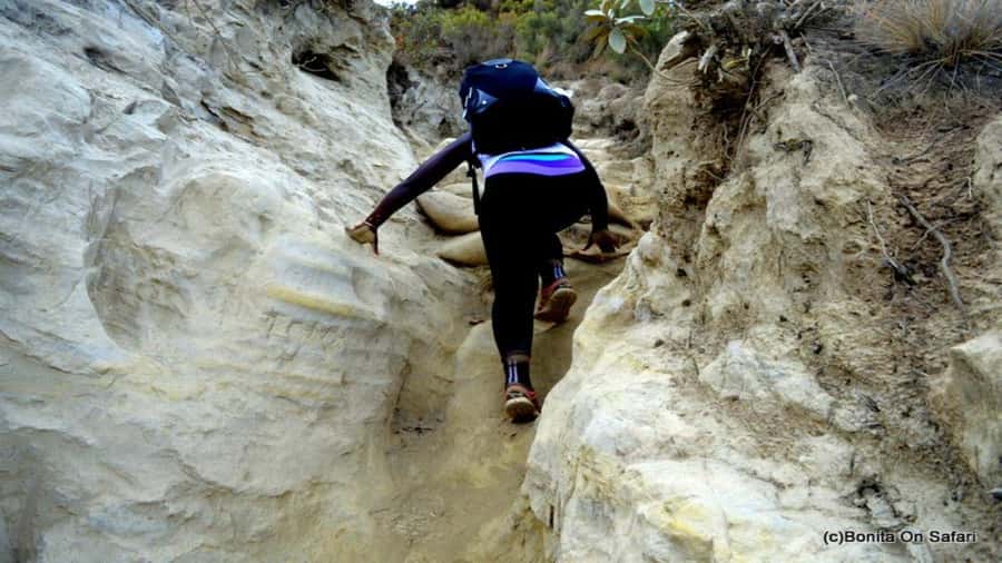 Mt Longonot National park Day Hike - The guides and the private format