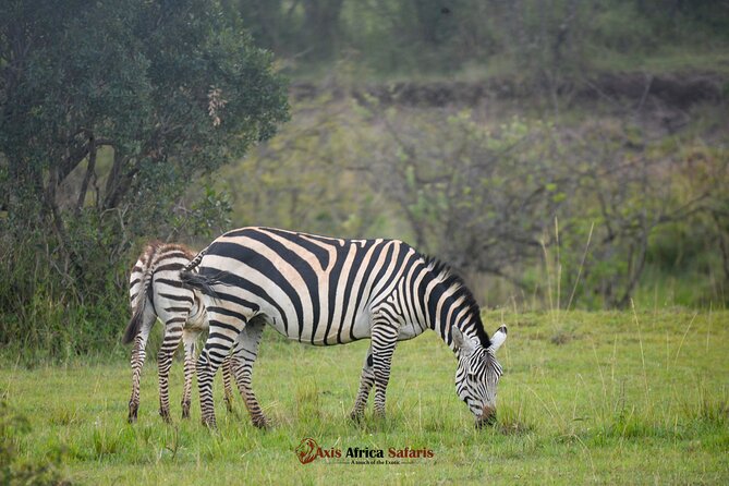 Multi Day Masai Mara Lake Nakuru Park Hellsgate Park Tour - Day one: the Rift Valley and first Mara game drive
