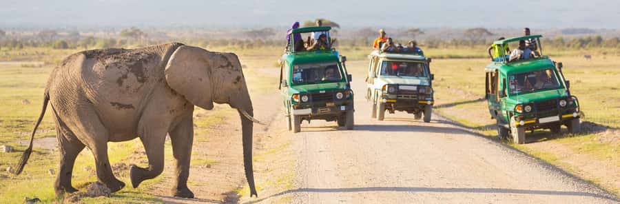 Nairobi: 3-Day Maasai Mara Group Tour with 4X4 Jeep Safari - Tented camping: useful comfort, uneven conditions