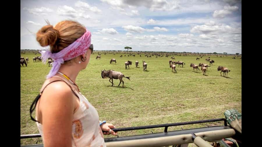 Nairobi: 3-Day Maasai Mara Group Tour with 4X4 Jeep Safari - Returning to Nairobi on day three