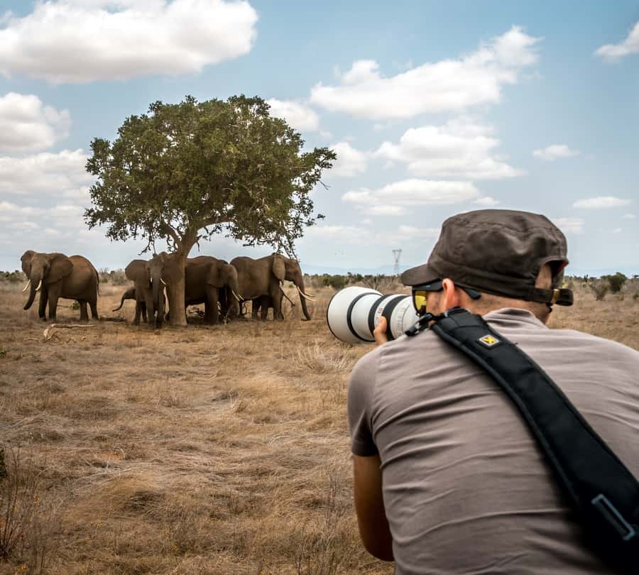 Nairobi: 3-Day Maasai Mara Group Tour with 4X4 Jeep Safari - Who will enjoy this safari most