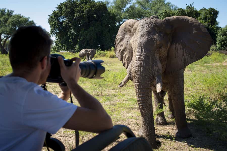 Nairobi: 4-Day Maasai Mara & Lake Nakuru Camping Safari - Key points at a glance