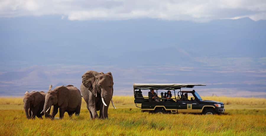 Nairobi: 4-Day Maasai Mara & Lake Nakuru Camping Safari - What you are really paying for on this Kenya safari