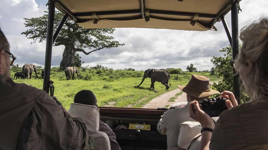 Nairobi: 4-Day Maasai Mara & Lake Nakuru Camping Safari - Day two: a full-day search for lions and the Mara River