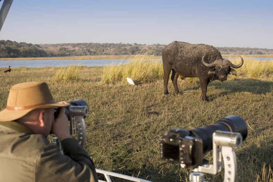Nairobi: 4-Day Maasai Mara & Lake Nakuru Camping Safari - Day four: rhinos, flamingos, and the return to Nairobi