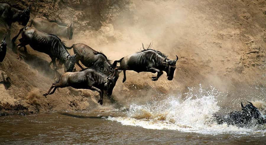 Nairobi: 4 Days Masai Mara & Lake Nakuru 4WD Camping Safari - Nairobi to the Masai Mara by way of the Rift Valley