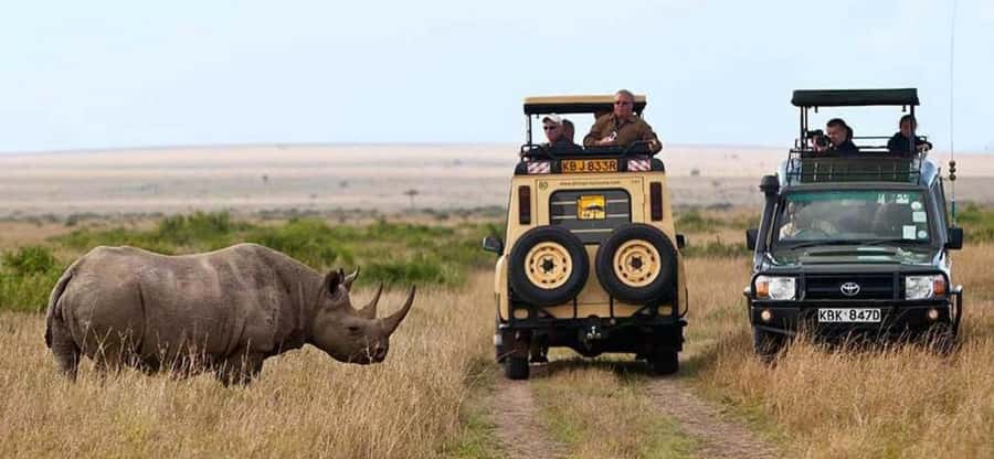 Nairobi: 4 Days Masai Mara & Lake Nakuru 4WD Camping Safari - Who should choose this four-day safari