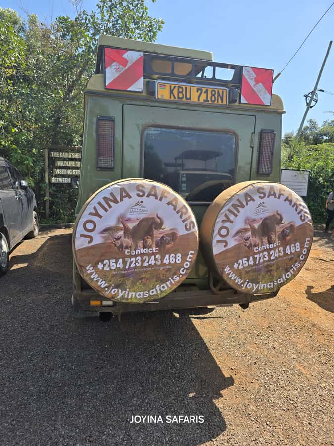 Nairobi: 4 Days Masai Mara & Lake Nakuru 4WD Camping Safari - A full day among Masai Mara lions, elephants, and big cats