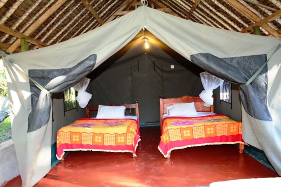 Nairobi: 5 Days Maasai Mara, Nakuru & Naivasha Tour - Day 4: Rhinos at Lake Nakuru, then hippos at Naivasha