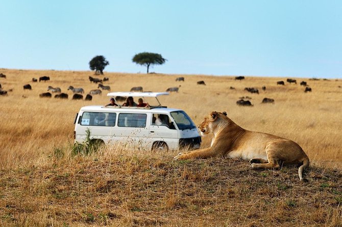 Nairobi Airport Layover Half Day Tour Nairobi National Park - Who should book this experience?