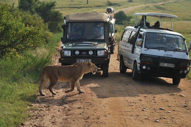 Nairobi Airport Layover Half Day Tour to Nairobi National Park - A smart use of a long Nairobi layover