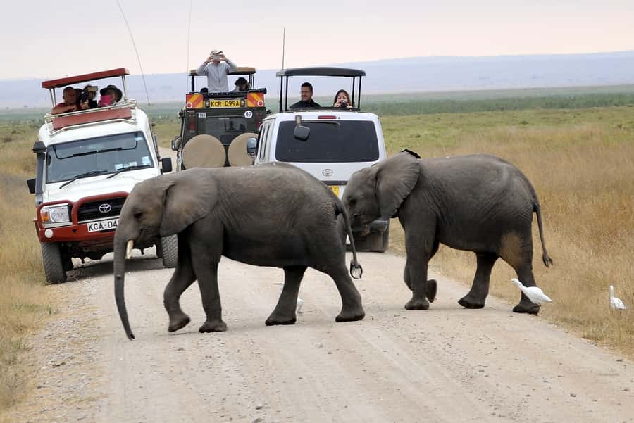 Nairobi: Amboseli National Park Day Trip with Masai Village - What the Maasai village visit is really like