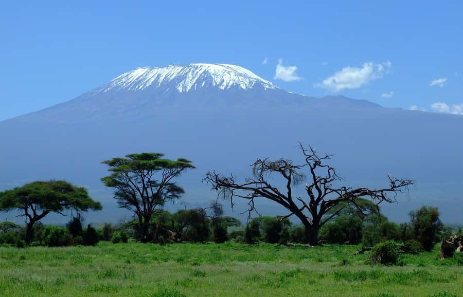Nairobi: Amboseli National Park Tour & Maasai Village Visit - Key points before you book
