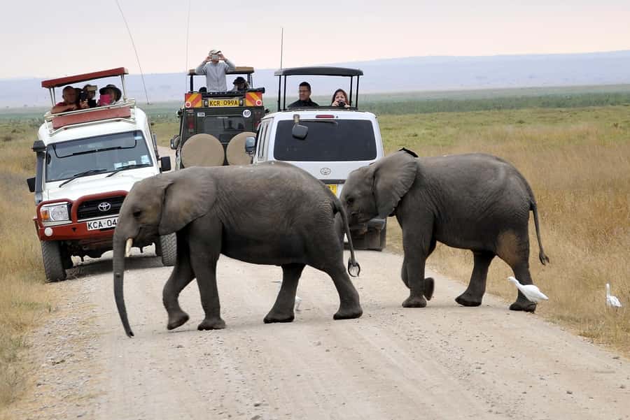 Nairobi: Amboseli National Park Tour & Maasai Village Visit - Entering Amboseli’s plains and marshes